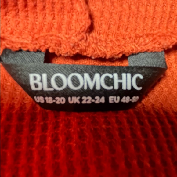 BloomChic Pumpkin Colored V-Neck Women’s Hoodie - Picture 7 of 9